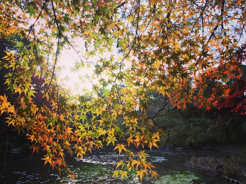 Best of Kyoto: Ginkakuji & Path of Philosophy E-Bike Tour - Ginkakuji: gardens before grand buildings