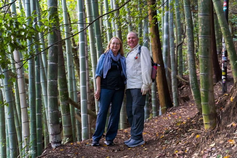 Best of Kyoto: Red Gates of Fushimi Inari & Kiyomizu Temple - Walking Sannenzaka and Ninenzaka