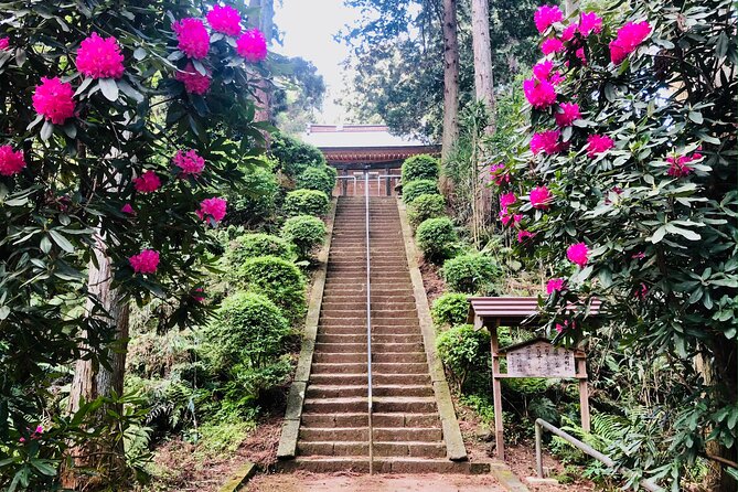 Buddha, Bamboo & Zen - Bespoke Kamakura Private Walking Tours - The Great Buddha at Kotoku-in