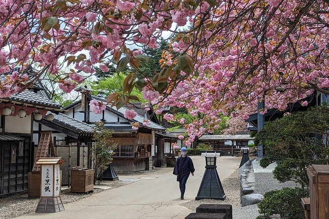 Chartered Private Tour - Tokyo to Nikko, Toshogu, Edo Wonderland - What this Nikko day trip is really designed to do