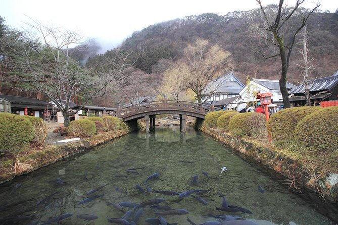 Chartered Private Tour - Tokyo to Nikko, Toshogu, Edo Wonderland - Akechidaira, Kegon Falls, and Lake Chuzenji