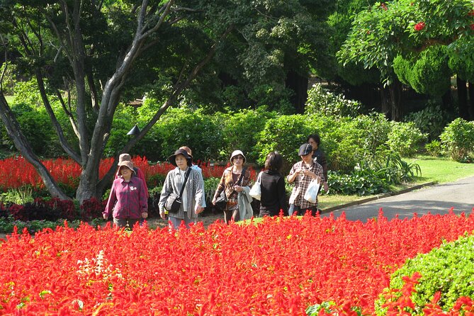 Colors of Japan, Fukuoka Nokonoshima Island Park & Wagyu BBQ - Key points to know before you book