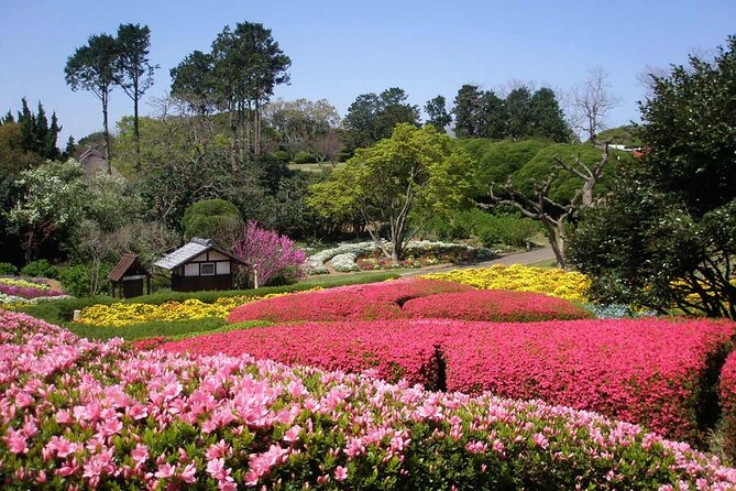 Colors of Japan, Fukuoka Nokonoshima Island Park & Wagyu BBQ - Flowers, Hakata Bay views, and the best photo stops