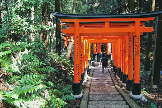 Crowd-Free Kyoto: Fushimi Inari, Nijo Castle & Kinkaku-ji - Who should book this experience?