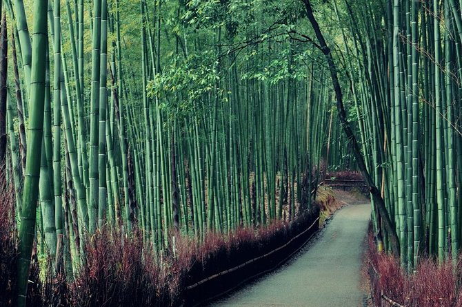 Cruise Stop-Over: Private Custom Day trip to Kyoto from Kobe Port - Designing a day that fits your interests