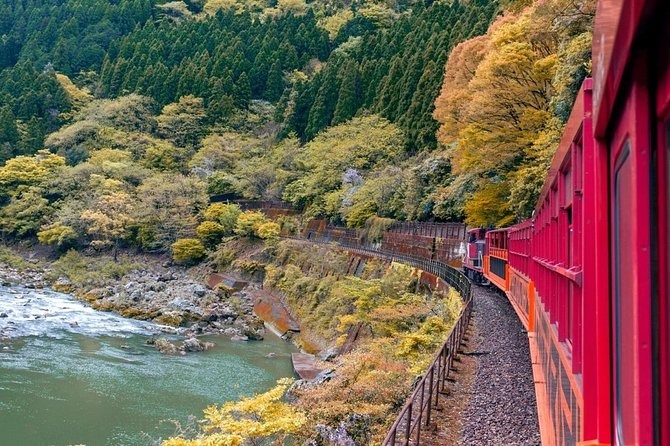 Cruise Stop-Over: Private Custom Day trip to Kyoto from Kobe Port - Arashiyama and the problem of Kyoto’s distance