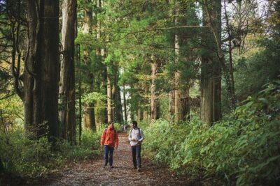 Custom Private Tour in Hakone with a Certified Local Guide