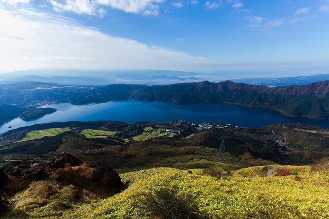 Custom Private Tour in Hakone with a Certified Local Guide - The old cedar avenue at Hakone-machi