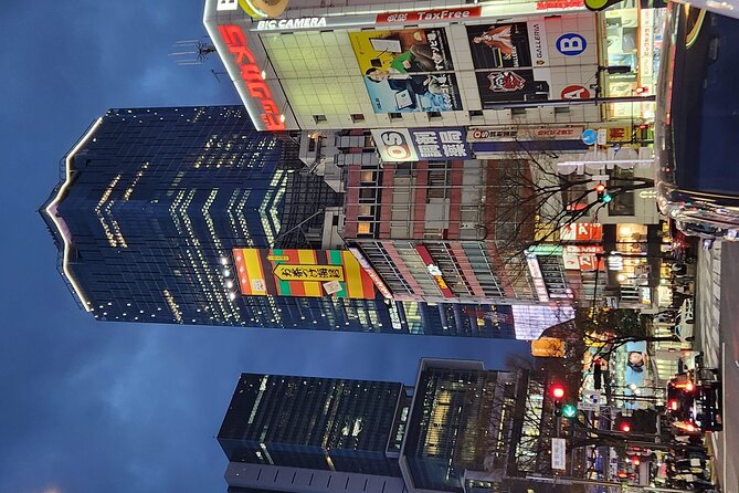 Day Private City Tour of Tokyo with English speaking driver - Tokyo Skytree: the paid viewpoint