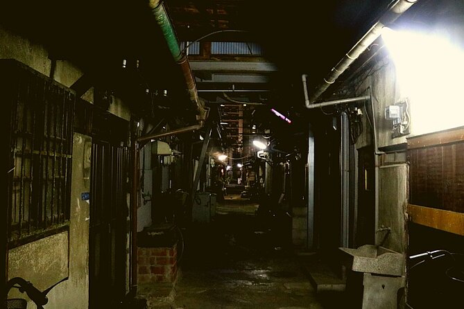 Deep Backstreet Osaka Tours (Option to add Dinner) - Starting at Daikokucho at 5:30 pm