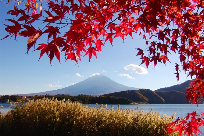 Discover Mt. Fuji 5th Station & Kawaguchiko Sightseeing Day Tour - Starting in Tokyo at 7:50 am
