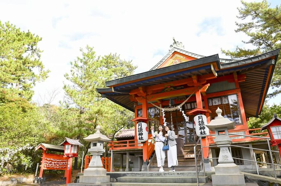 Discover the Wonder of Sakurajima Half Day Tour in Kagoshima - How the bus route affects your day