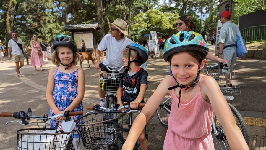 E-Bike Nara Highlights - Todaiji, Knives, Deer, Shrine - From Kintetsu Nara Station into the park