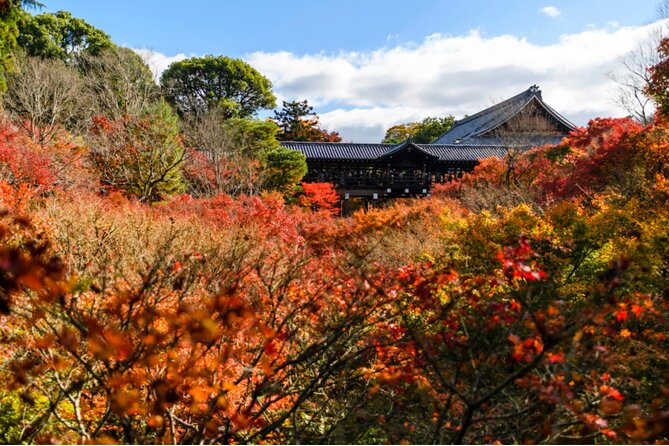 Early Bird E-biking through East Kyoto - The Kamogawa River gives you room to breathe
