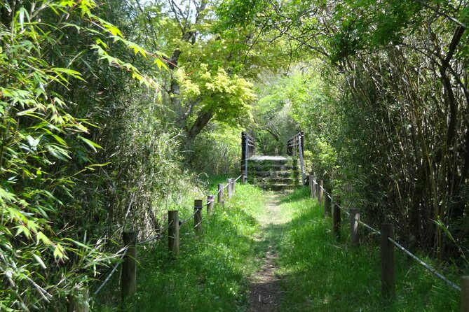 Easygoing Nature Walk in Hakone Tour - Why this gentle Hakone walk works