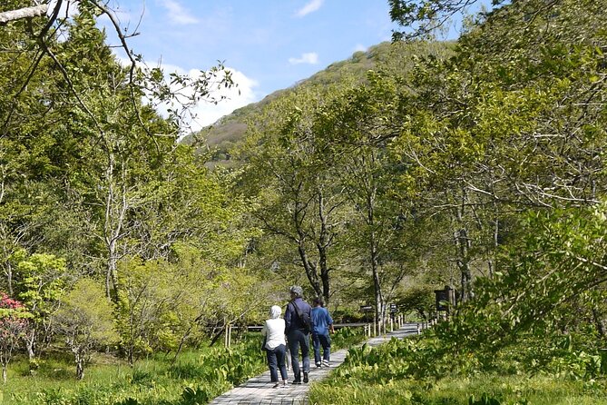Easygoing Nature Walk in Hakone Tour - Is Yoshi’s walk worth booking?