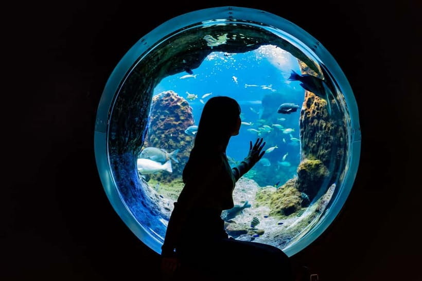Enoshima Aquarium: Admission Ticket - Key points to know before you go