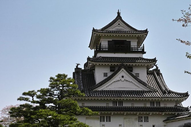 Experience the energy of Kochi: Sunday Market Tour includes Kochi Castle - Why Kochi’s Sunday Market deserves your morning