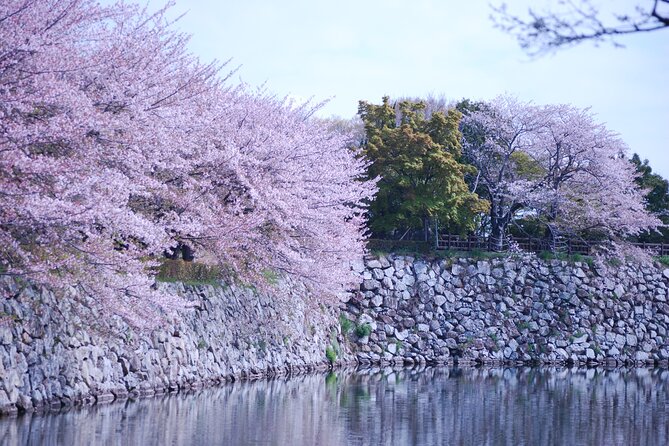 Explore Himeji Castle a Guided Walking Tour - How Much Value Does the $69.71 Price Offer?