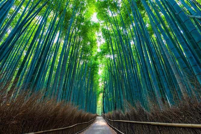 Explore Kyoto | Private Tour - Local English Driver(guide option) - Fushimi Inari: red gates and a choice of how far to walk