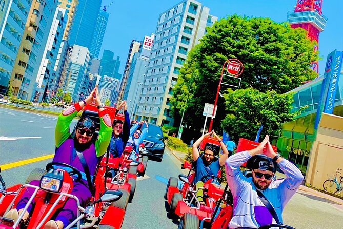Flagship 2-Hours Official Street Go-Kart Tour - Tokyo Bay Shop - Public roads mean real responsibility