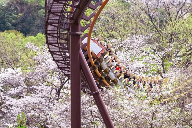 (For overseas) Tokyo: Amusement Park YOMIURILAND Ticket - Why Yomiuriland feels different from a standard amusement park