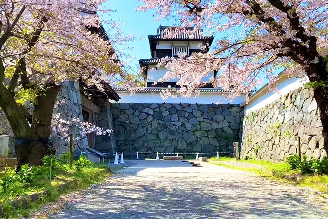 From Fukuoka Kyushu Itoshima Hidden Gems Day Tour - Itoshima coast and the seasonal change