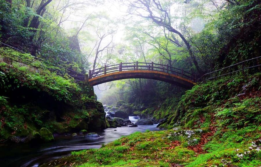From Fukuoka: Miyazaki, Takachiho Gorge and Shrines Day Tour - Key points to know before booking
