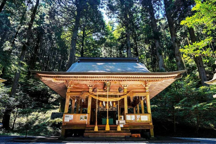 From Fukuoka: Miyazaki, Takachiho Gorge and Shrines Day Tour - Why this day trip is worth considering