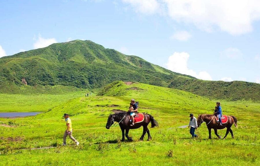 From Fukuoka: Mount Aso, Kurokawa Onsen, and Shrine Tour - Aso Shrine and the story behind the region