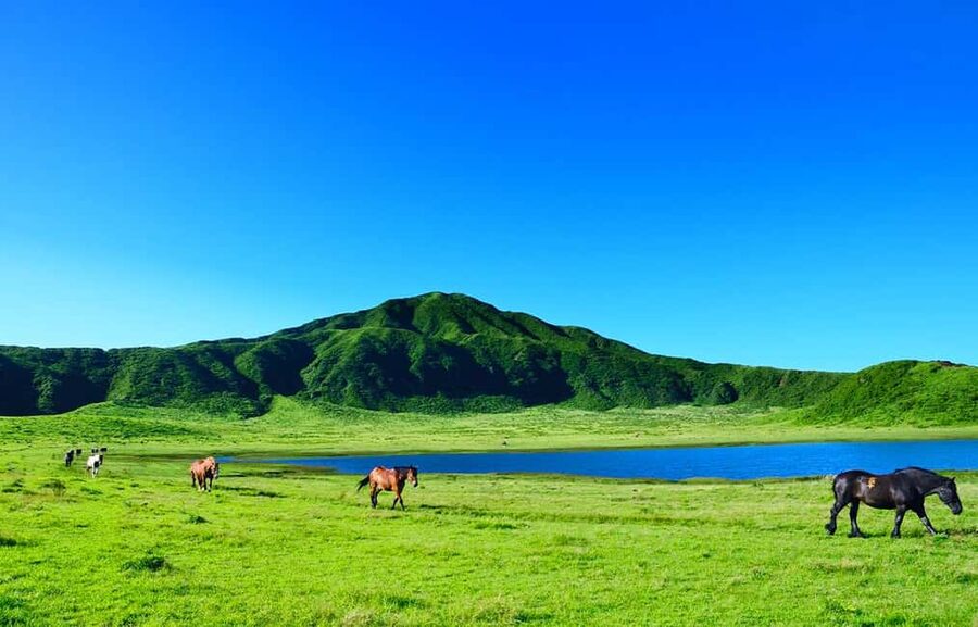 From Fukuoka: Mount Aso, Kurokawa Onsen, and Shrine Tour - Who should book this experience?