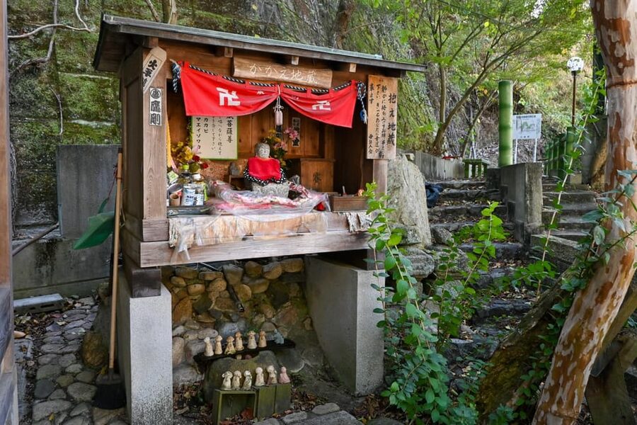 From Hiroshima: Rabbit Island and Takehara Town Tour - Free time for rabbits, bikes, views, and hot springs