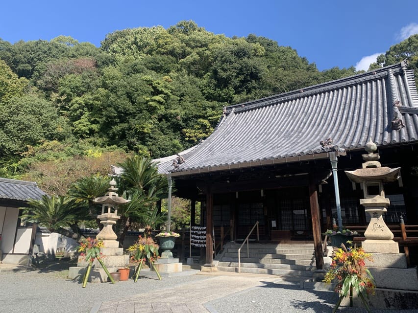 From Hiroshima: Rabbit Island and Takehara Town Tour - Meeting at Hiroshima Station