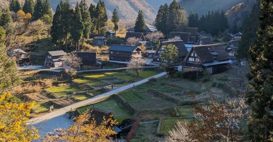 From Kanazawa: Shirakawa-go, Gokayama and Wood Carving Art - Why this day trip works from Kanazawa