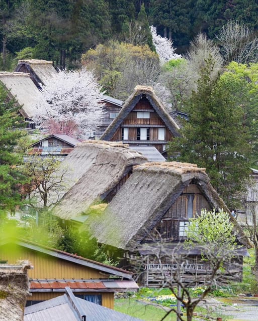 From Kanazawa/Toyama: Shirakawago and Takayama Day Tour - Hida no Sato: traditional buildings without the village crowds