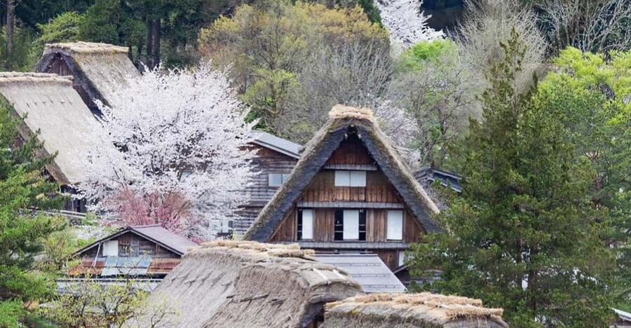 From Kanazawa/Toyama: Shirakawago and Takayama Day Tour - Takayama Jinya and the old town: finish with food and wooden streets