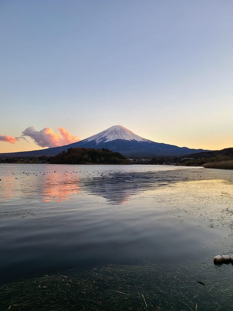 From Kawaguchiko: Mt. Fuji Private Tour with a Local Guide - Why a private Kawaguchiko tour makes sense