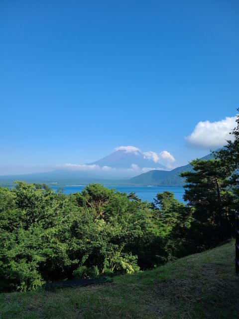 From Kawaguchiko: Mt. Fuji Private Tour with a Local Guide - Houtou noodles and advice on what to eat