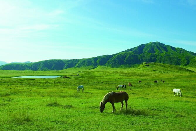 From Kumamoto : Mt.Aso and Takachiho All-inclusive Private Tour - Kusasenri’s open grassland