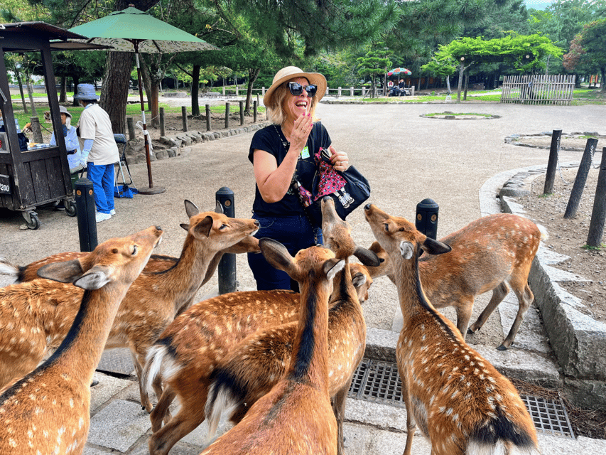 From Kyoto: Nara Guided Morning Tour - Kasuga Taisha and its three thousand lanterns
