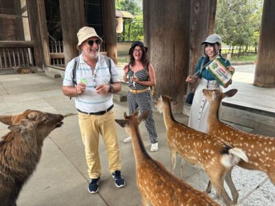 Nara Guided Morning Tour