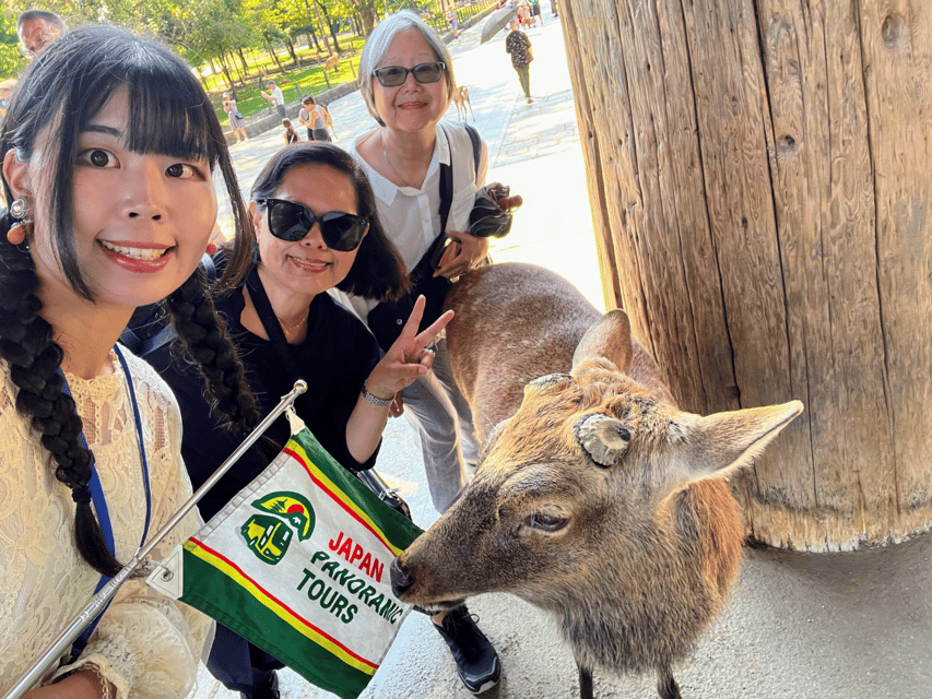 From Kyoto: Nara Guided Morning Tour - The return to Kyoto is your responsibility