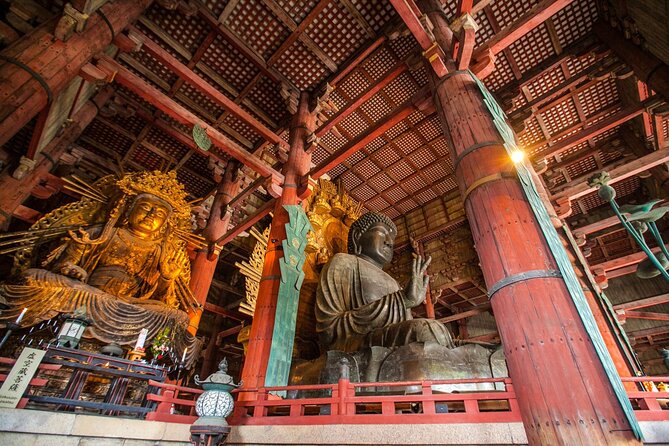 From Kyoto: Nara History Guided Half Day Bus Tour with lunch - Why this Kyoto to Nara trip works well