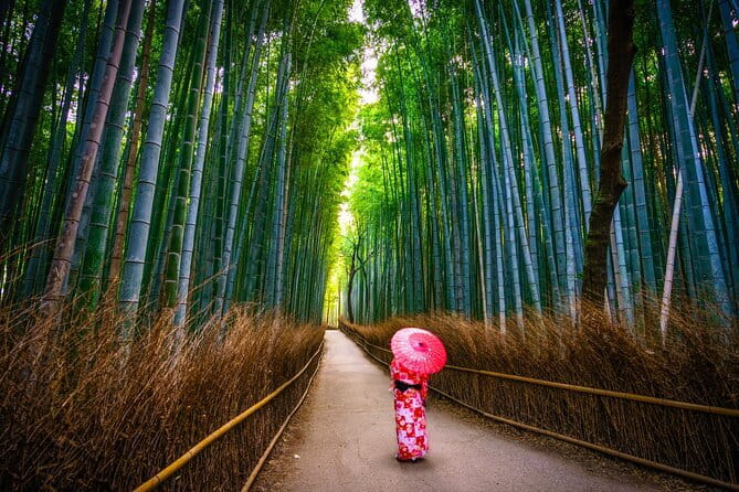 From Kyoto / Osaka: Kyoto Must-see Spots & Nara Park One Day Tour - Fushimi Inari’s red torii gates