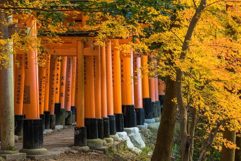 From Kyoto/Osaka: Kyoto Top Highlights 1-Day Guided Bus Tour - An optional Japanese lunch, with a practical warning