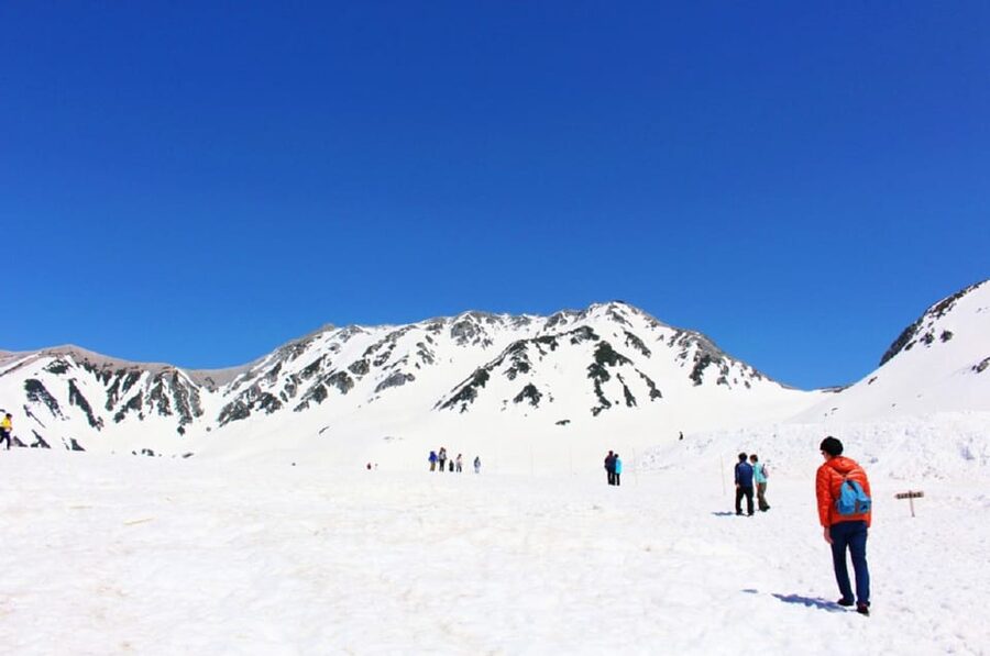 From Nagano: Tateyama-Kurobe Alpine Route - Is the $232 price good value?