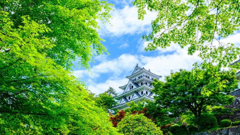 From Nagoya: Gujo, Hida Takayama, and Shirakawa-go Day Tour - The coach ride is part of the bargain