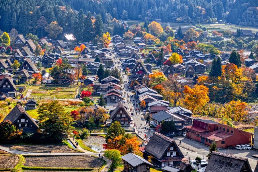 From Nagoya: Hida Takayama & Shirakawa-go Tour w/Opt. Lunch - Key points to know before booking