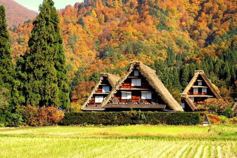 From Nagoya: Hida Takayama & Shirakawa-go Tour w/Opt. Lunch - Choosing lunch at Koshiyama