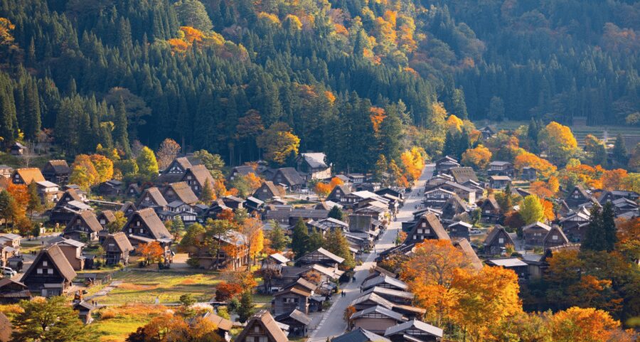 From Nagoya: Hida Takayama & Shirakawa-go Tour w/Opt. Lunch - How the guiding works